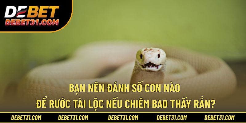 Bạn nên đánh số con nào để rước tài lộc nếu chiêm bao thấy rắn